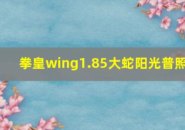 拳皇wing1.85大蛇阳光普照