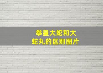 拳皇大蛇和大蛇丸的区别图片