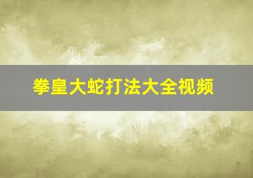 拳皇大蛇打法大全视频