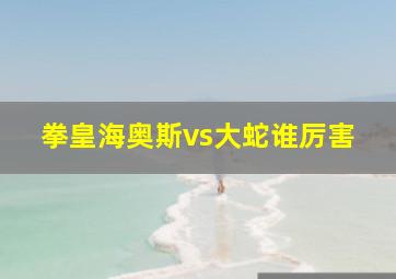 拳皇海奥斯vs大蛇谁厉害