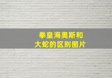 拳皇海奥斯和大蛇的区别图片