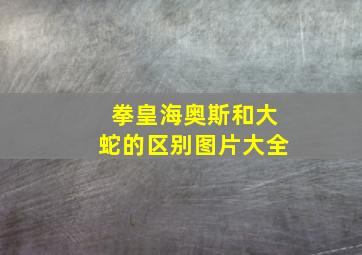 拳皇海奥斯和大蛇的区别图片大全