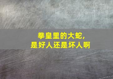 拳皇里的大蛇,是好人还是坏人啊