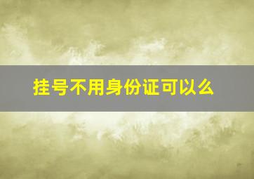 挂号不用身份证可以么