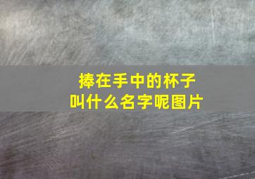 捧在手中的杯子叫什么名字呢图片