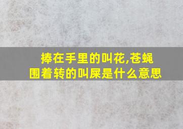 捧在手里的叫花,苍蝇围着转的叫屎是什么意思