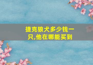 捷克狼犬多少钱一只,他在哪能买到