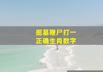 掘墓鞭尸打一正确生肖数字