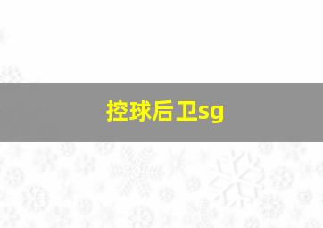 控球后卫sg