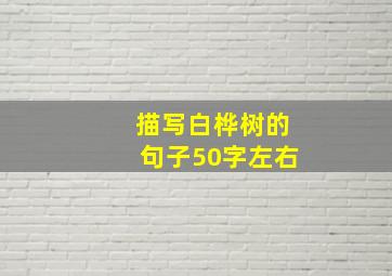 描写白桦树的句子50字左右