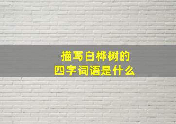 描写白桦树的四字词语是什么