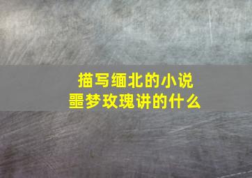 描写缅北的小说噩梦玫瑰讲的什么