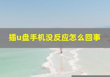 插u盘手机没反应怎么回事