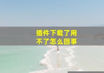 插件下载了用不了怎么回事