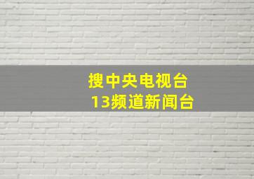 搜中央电视台13频道新闻台