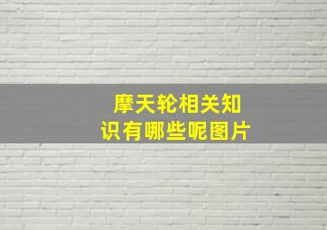 摩天轮相关知识有哪些呢图片