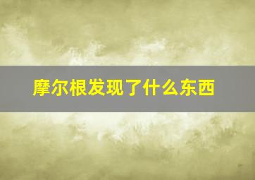 摩尔根发现了什么东西