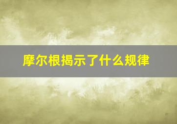 摩尔根揭示了什么规律