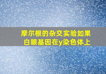 摩尔根的杂交实验如果白眼基因在y染色体上