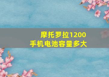 摩托罗拉1200手机电池容量多大