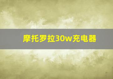 摩托罗拉30w充电器