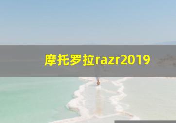 摩托罗拉razr2019