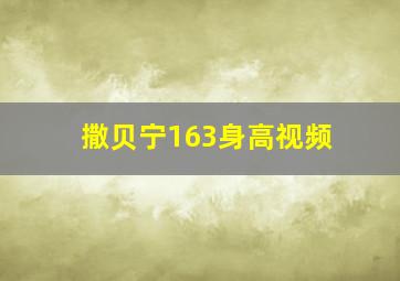 撒贝宁163身高视频