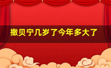 撒贝宁几岁了今年多大了