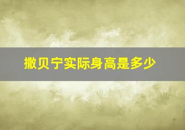 撒贝宁实际身高是多少