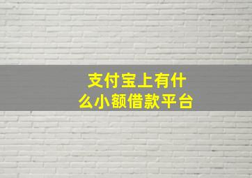 支付宝上有什么小额借款平台