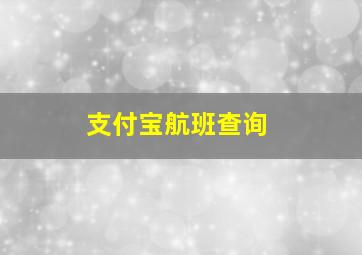 支付宝航班查询