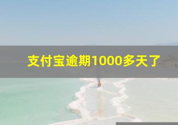 支付宝逾期1000多天了