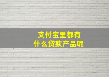 支付宝里都有什么贷款产品呢