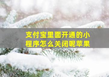 支付宝里面开通的小程序怎么关闭呢苹果