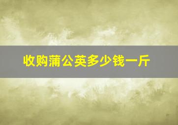 收购蒲公英多少钱一斤