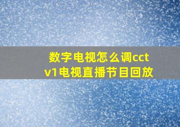 数字电视怎么调cctv1电视直播节目回放