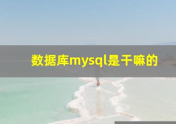 数据库mysql是干嘛的