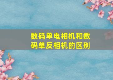 数码单电相机和数码单反相机的区别