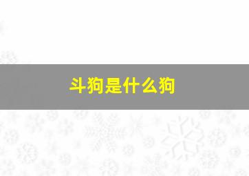 斗狗是什么狗