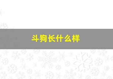 斗狗长什么样