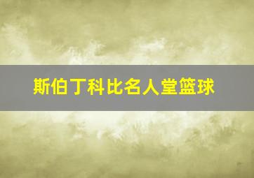 斯伯丁科比名人堂篮球