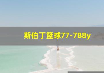 斯伯丁篮球77-788y