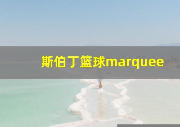 斯伯丁篮球marquee