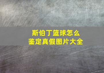 斯伯丁篮球怎么鉴定真假图片大全