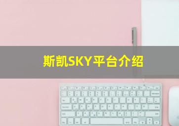 斯凯SKY平台介绍