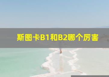 斯图卡B1和B2哪个厉害