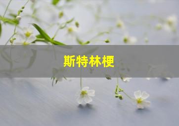 斯特林梗