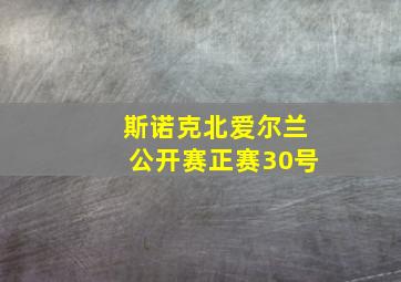 斯诺克北爱尔兰公开赛正赛30号