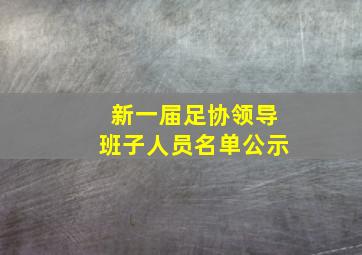 新一届足协领导班子人员名单公示