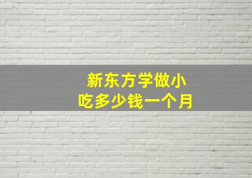 新东方学做小吃多少钱一个月